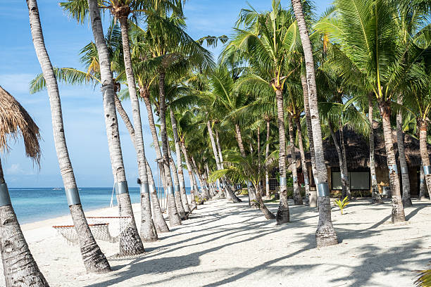 Stunning views of an empty beach, palm trees, and a hammock on a wonderful island. Clear, sunny day, warm sunlight. No people, outdoors. Concept of leisure and travel