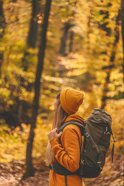 istock Woman with Tourist backpack Walking in Autumn Forest 2247805505