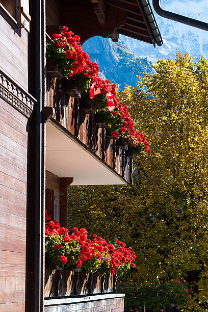 istock Wooden balcony full of red geraniums 2247806563