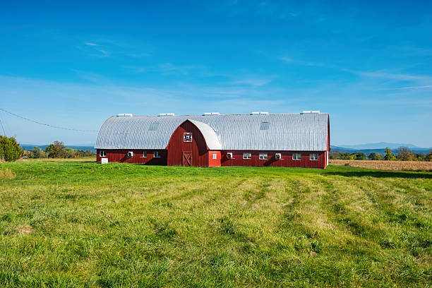 Sunset shot of the grains and a barn