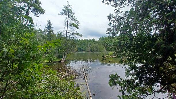 istock Rockwood Conservation Area Rock Cliff 2247815190