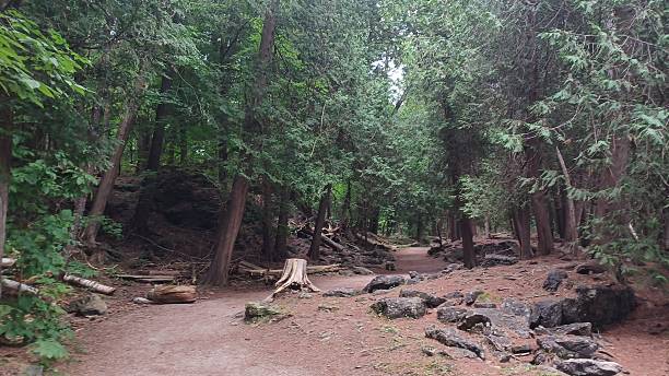 istock Forest hiking trail leads to rock 2247815195