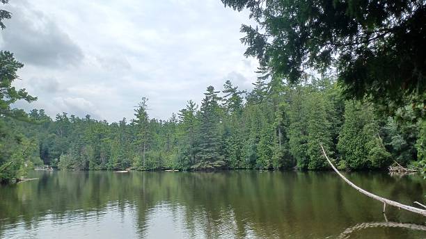 istock Rockwood Conservation Area Rock Cliff 2247815228