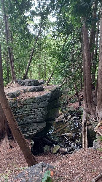 istock Forest hiking trail leads to rock 2247815231