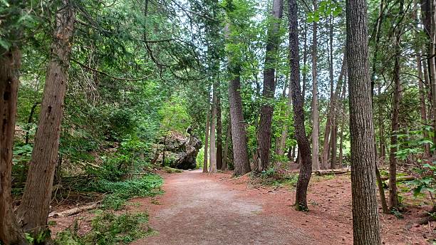 istock Forest hiking trail leads to rock 2247815272