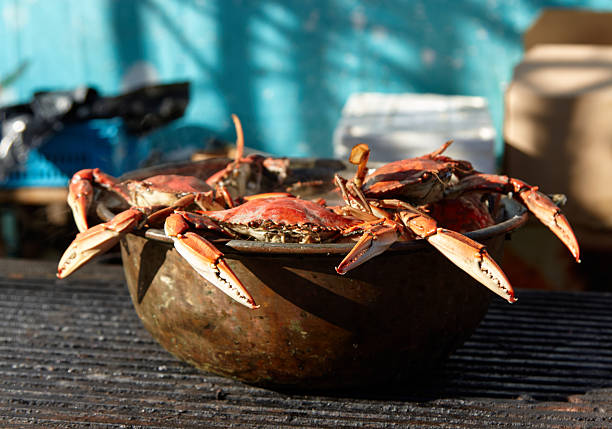 istock Freshly cooked crabs in a rustic bowl, showcasing vibrant colors and textures at an open-air culinary festival, inviting food lovers to indulge 2247818130