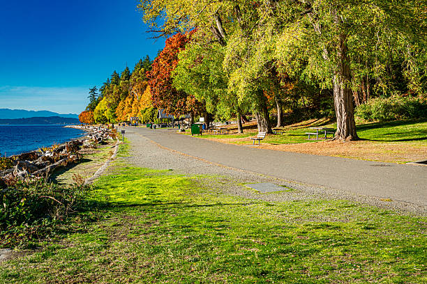 istock Colorful Park Walkway 3 2247820707