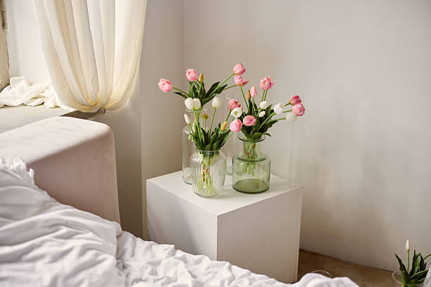istock Gentle sunlight illuminates delicate tulips in peaceful setting 2247825300