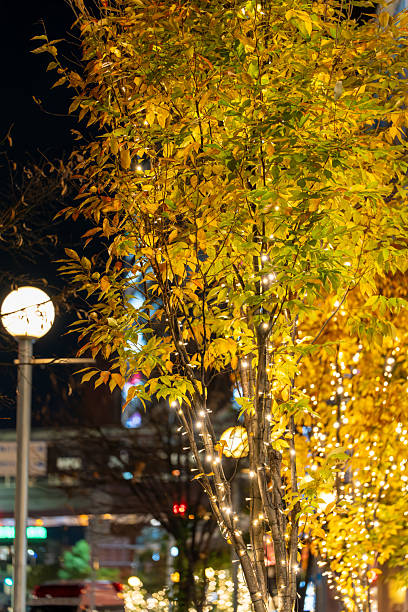 istock Winter Street Trees Illuminated with Christmas Lights 2247827959