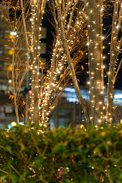 istock Winter Street Trees Illuminated with Christmas Lights 2247828015