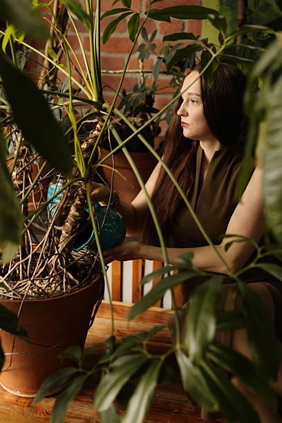 istock Feminine individual arranging and designing lush indoor greenery setup 2247832519