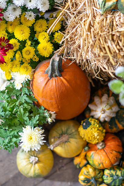 istock Autumn pumpkin with colorful chrysanthemums 2247837638