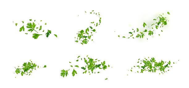 istock Chopped Parsley Leaves Isolated 2247841529