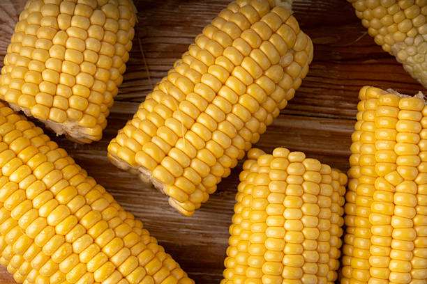 istock Sweet corn ears closeup. Fresh maize cob macro texture, autumn sweetcorn, corncob close up 2247841608