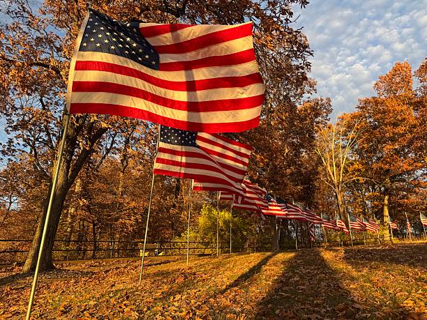 istock American flags waving in the wind 2247841725
