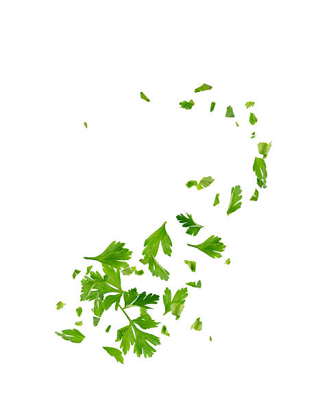 istock Chopped Parsley Leaves Isolated 2247844242