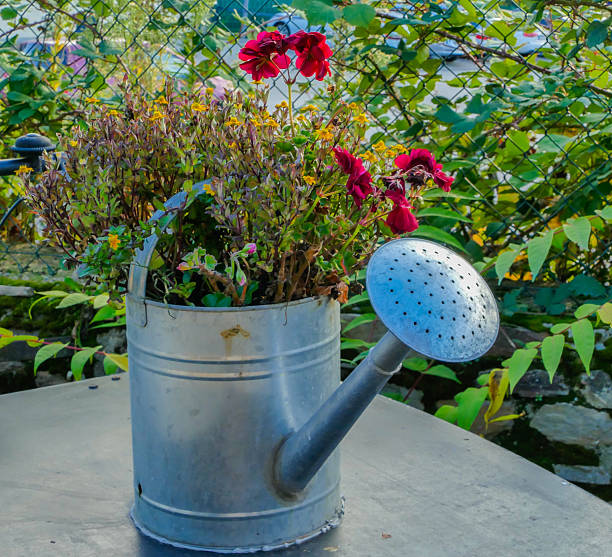 Symbolic Upcycling old Objetcs for Plants