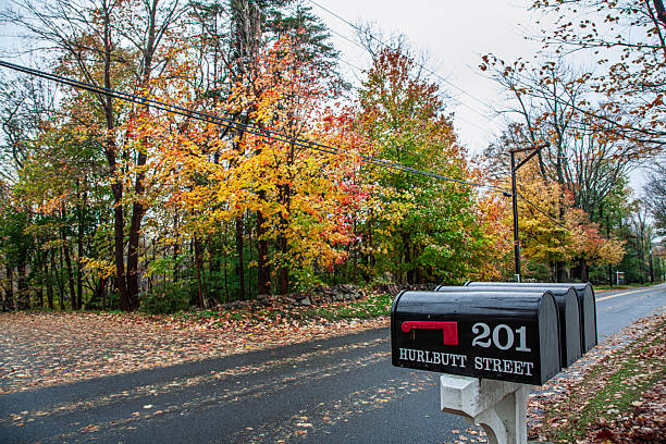 Autumn foliage creates a colorful backdrop along a quiet road in Connecticut, featuring charming mailboxes beside the pavement.