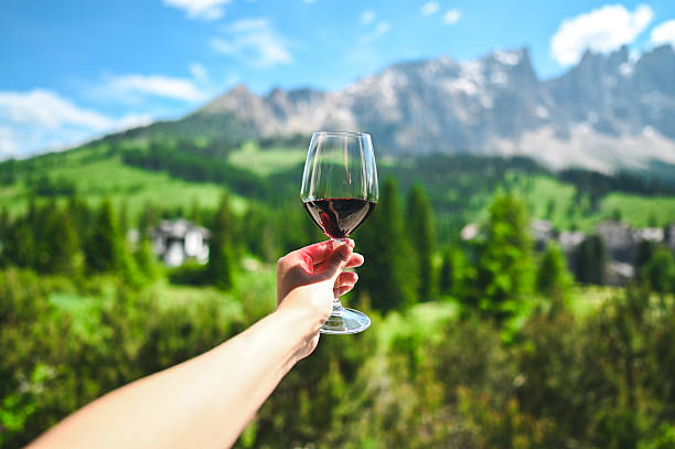 istock Holding red wine glass enjoying mountain view vacation 2247849913