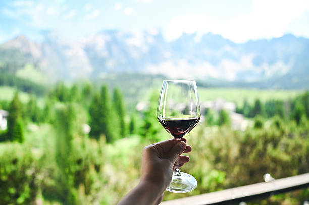 istock Hand holding red wine glass enjoying mountain view 2247849924