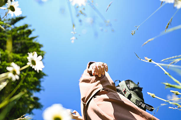 Person walking through a field of wildflowers with a backpack under a clear blue sky