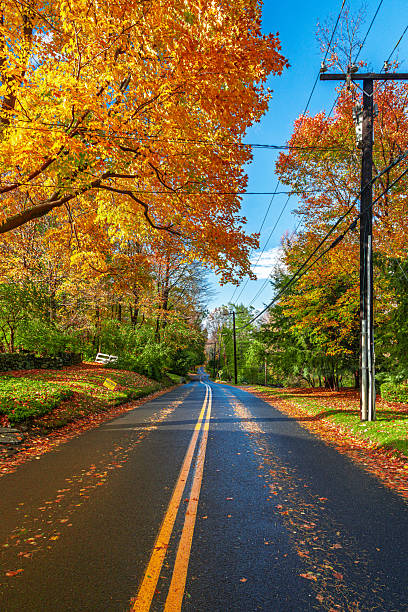 Beautiful fall colors along a secondary road in Connecticut