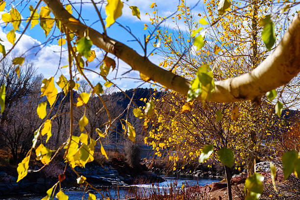 Molly Brook Cascades Through The Autumn Forest Near Groton Vermont[url=http://www.istockphoto.com/search/lightbox/11154853?refnum=rachwal81#1ea91a24][img]http://davesucsy.com/rpt/ThomasBanner16a.jpg[/img][/url] [url=file_closeup.php?id=26122276][img]file_thumbview_approve.php?size=1&id=26122276[/img][/url] [url=file_closeup.php?id=14219895][img]file_thumbview_approve.php?size=1&id=14219895[/img][/url] [url=file_closeup.php?id=13960124][img]file_thumbview_approve.php?size=1&id=13960124[/img][/url]