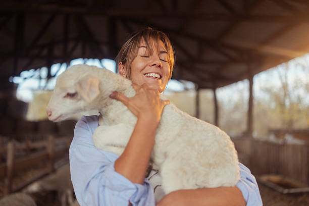 A young woman with short brown hair holds a white lamb inside a spacious barn on a sheep farm. The soft natural light highlights her smiling face and the lamb's wool during daytime