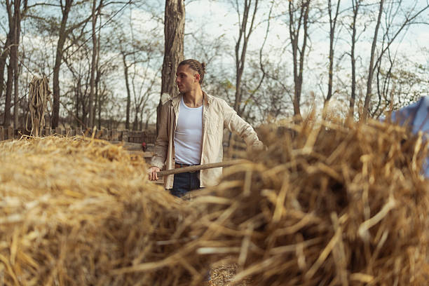 Man in casual clothing raking straw inside a covered sheep farm barn with wooden fencing and natural light, engaged in farm maintenance activities