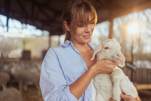 istock Carefree Woman Farmer Sharing a Warm Hug with a Lamb 2247851614