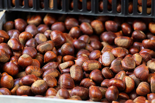 Fresh chestnuts for sale during autumn harvest
