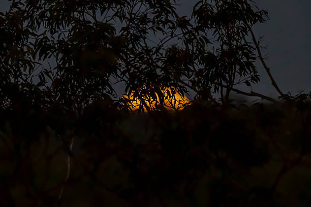 A serene view of a bright full moon lighting up the night above a calm countryside with scattered trees, power lines, and distant hills, creating a peaceful and tranquil mood.