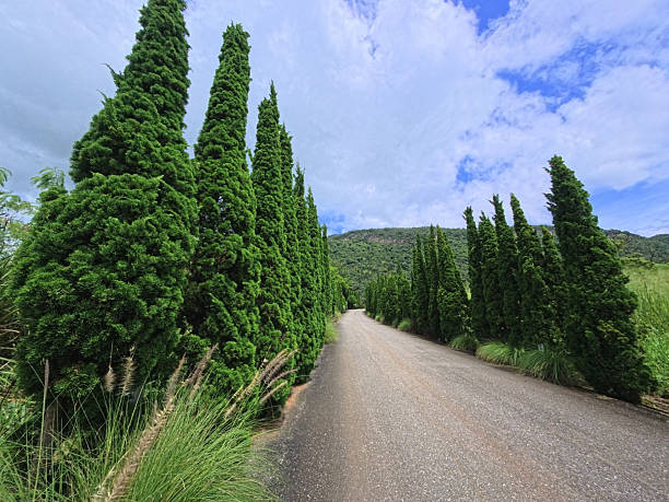 country road in the mountains