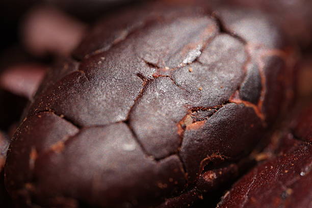 istock Cocoa textured macro, closeup of a brown cocoa bean texture background, background cocoa 2247885159