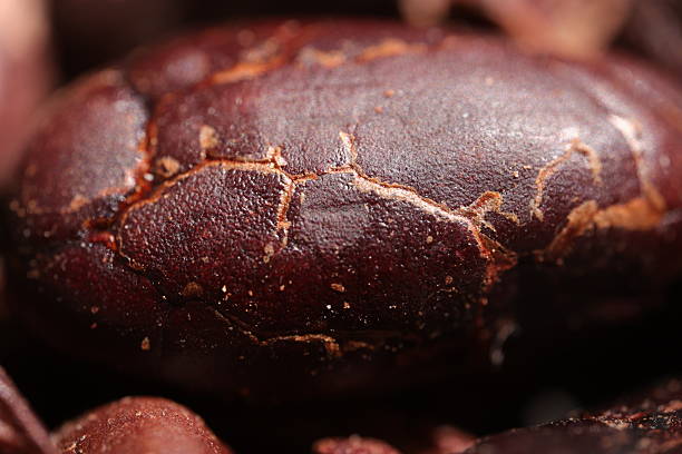 Cocoa textured macro, closeup of a brown cocoa bean texture background, background cocoa