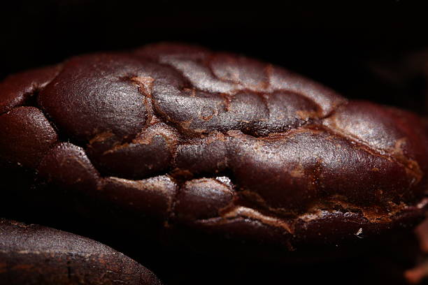 Cocoa textured macro, closeup of a brown cocoa bean texture background, background cocoa