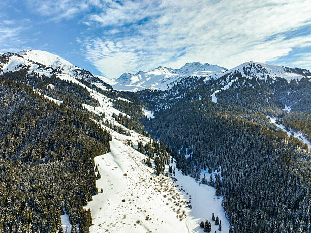 istock Snowy mountain slopes and deep coniferous forest under sky 2247885769
