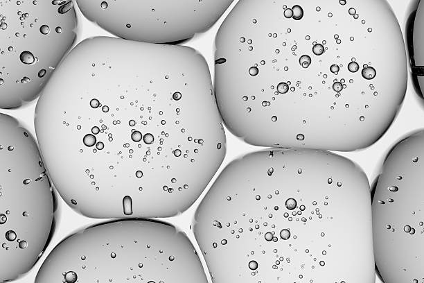 Monochrome gel-like cells featuring trapped bubbles, suited for scientific editorials, minimal UI patterns, and clean abstract branding visuals