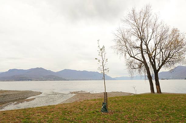 Lake Maggiore and the inlet Gionariver from the lakefront promenade ofMaccagno.on a cloudylate autumn morning. Italy