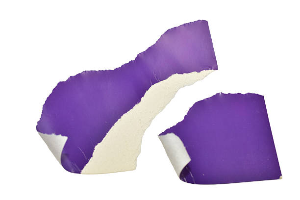 Shapeless pieces of purple cardboard, torn by hand, lie on a white background.