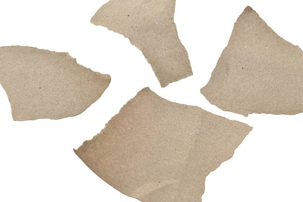 Shapeless shreds of hand-torn wrapping paper lie on a white background.