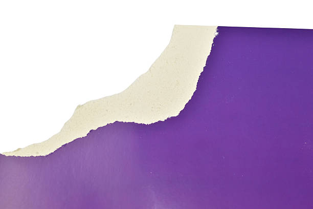 A shapeless piece of purple cardboard, torn by hands, lies on a white background.