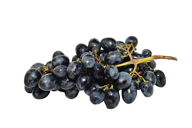 A bunch of blue grapes lies on a white background.
