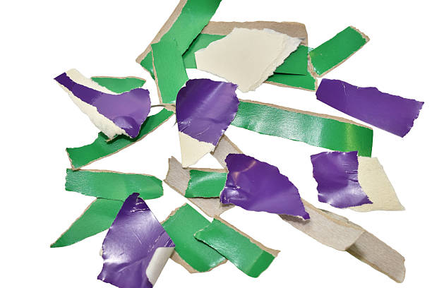 Shapeless strips of hand-torn cardboard lie on a white background.