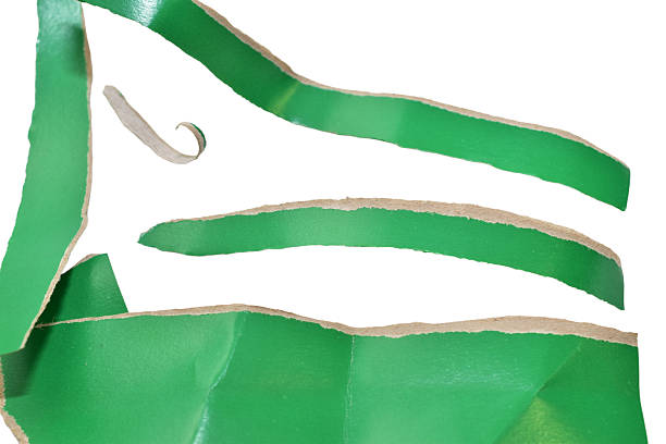 Strips of green cardboard torn by hand lie on a white background.