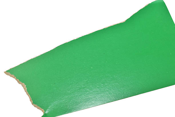 Strips and pieces of green cardboard torn by hand lie on a white background.