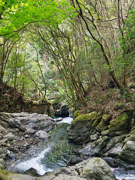 istock Kawazu Seven Falls, Izu Peninsula, Japan 2247901516