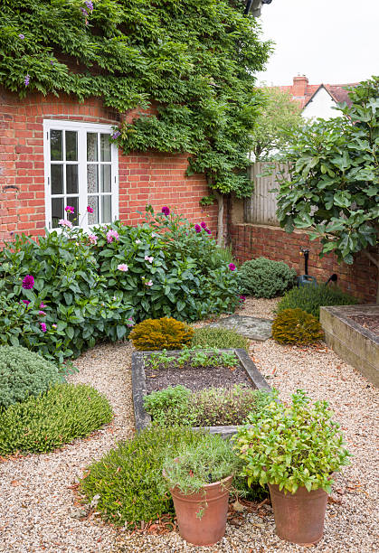 istock Small cottage garden in late summer, UK 2247902783