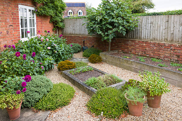 istock Small cottage garden in late summer, UK 2247902784