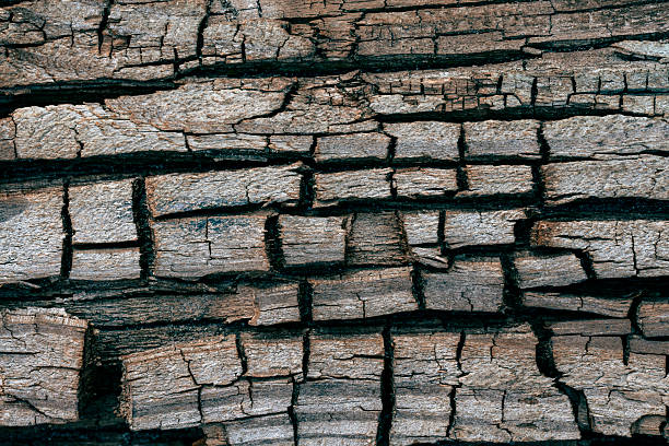 Old cracked pine wood texture or background, close up. Wooden rough surface
